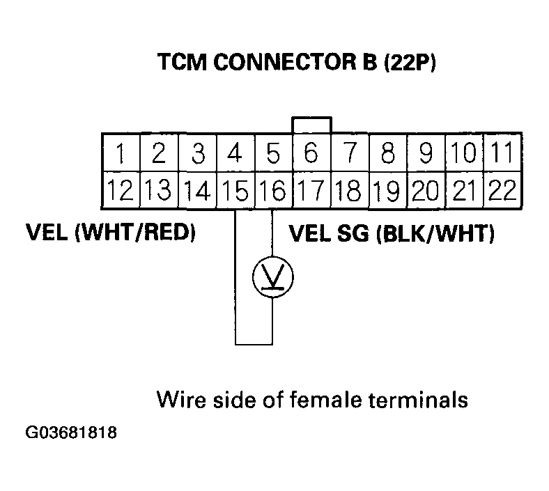 G03681818