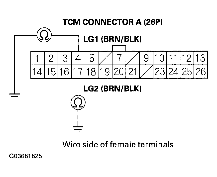 G03681825
