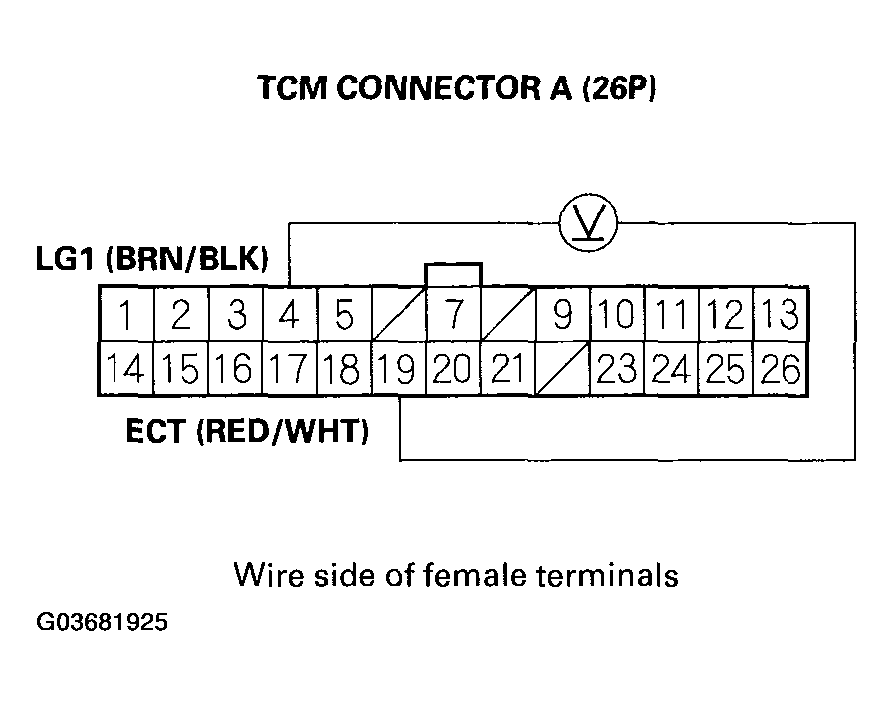 G03681925