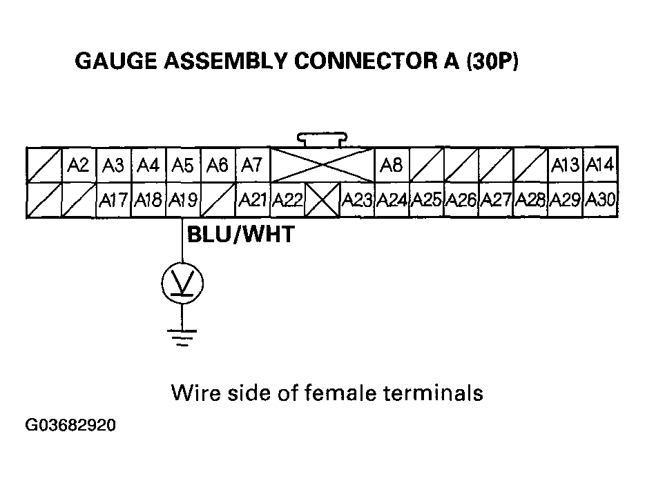 G03682920