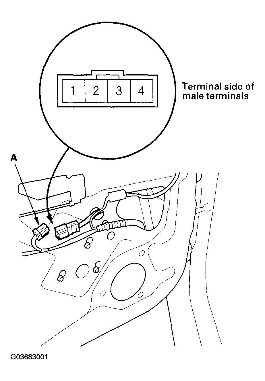 G03683001