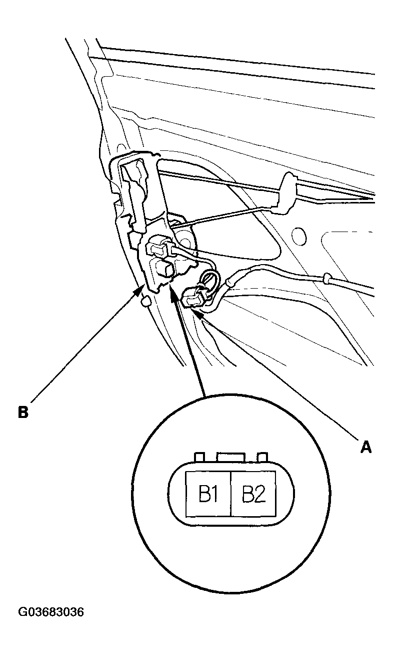 G03683036