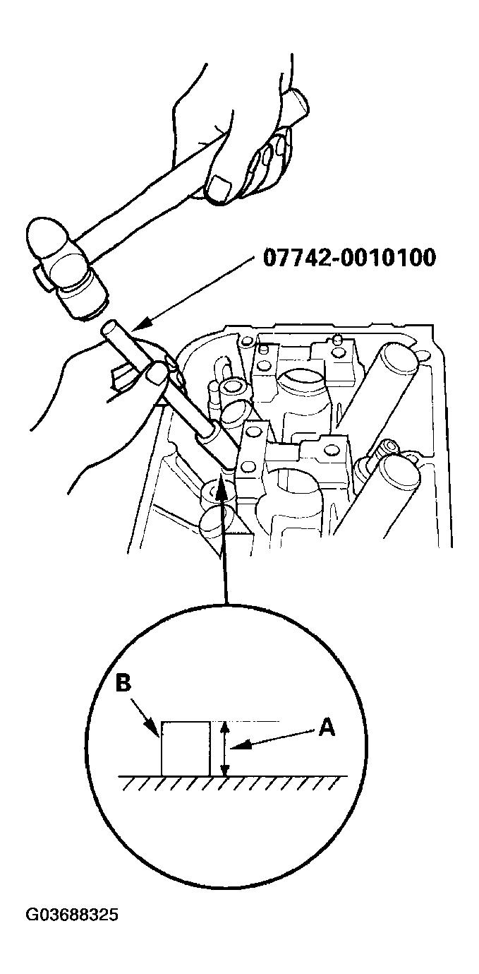 G03688325