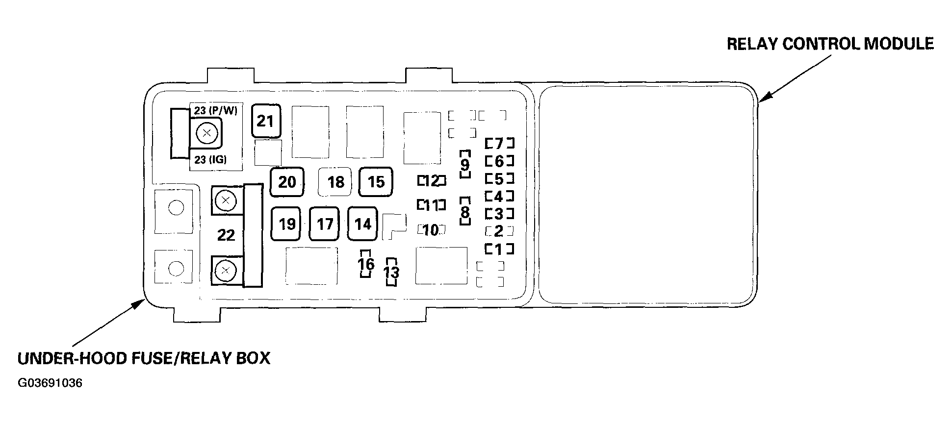 G03691036