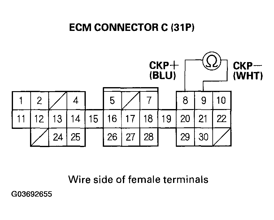 G03692655