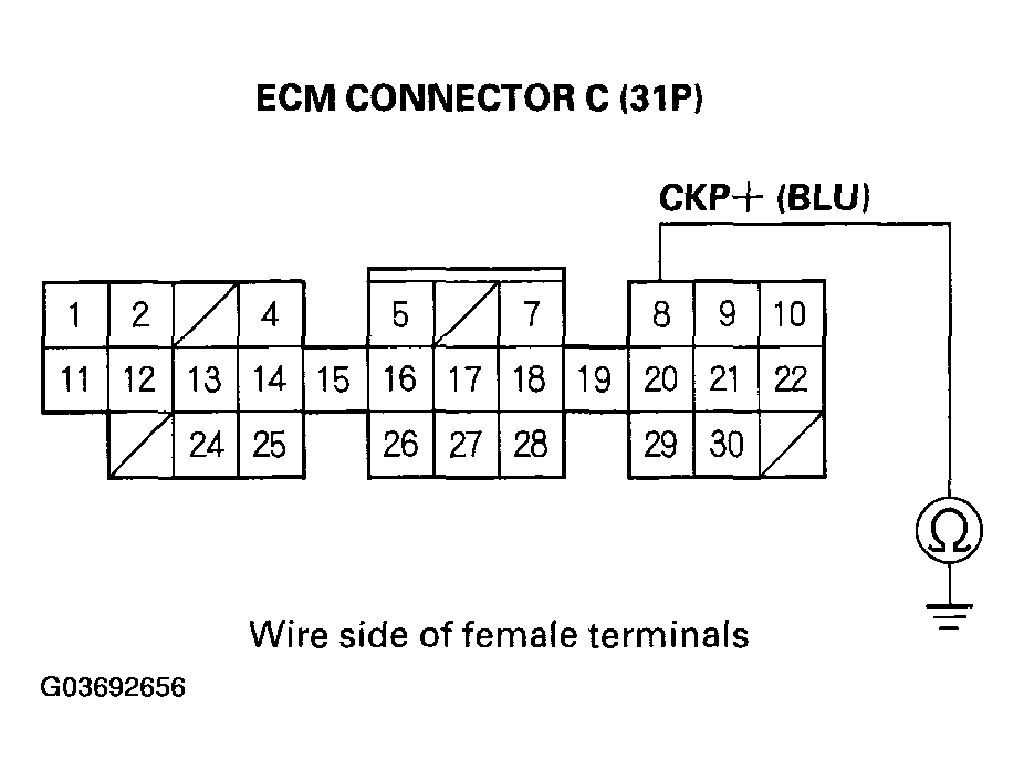G03692656