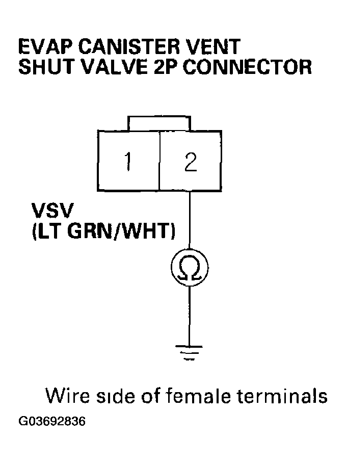 G03692836