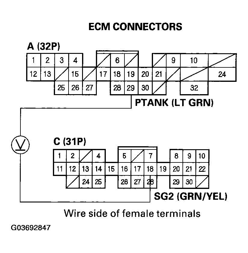 G03692847