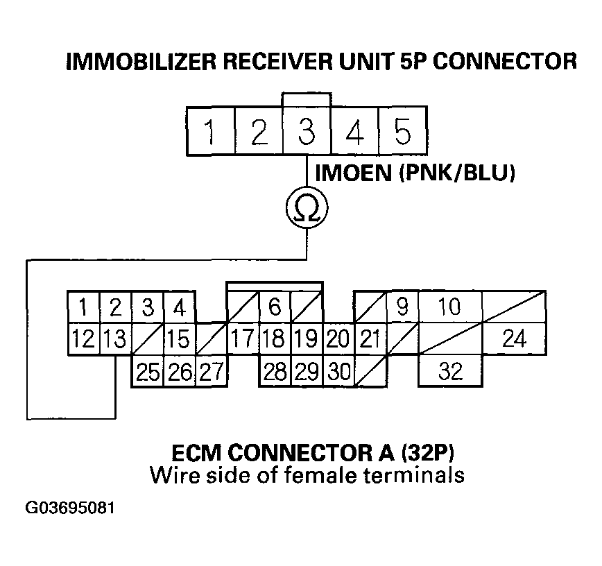G03695081