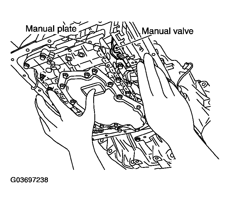 G03697238