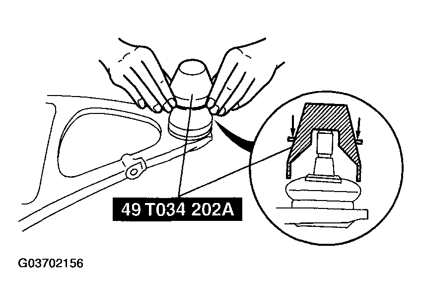 G03702156