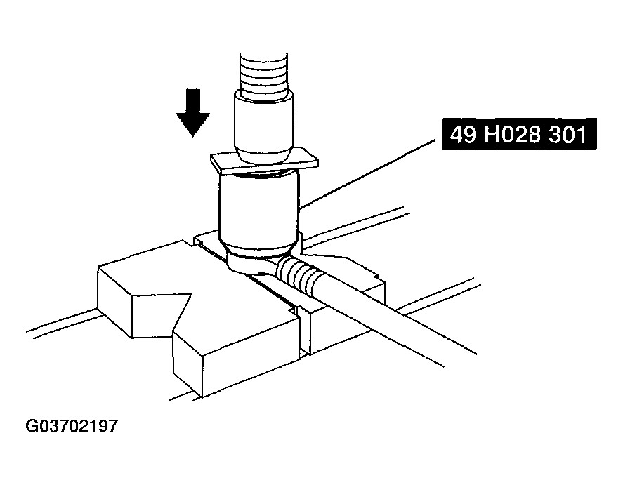 G03702197