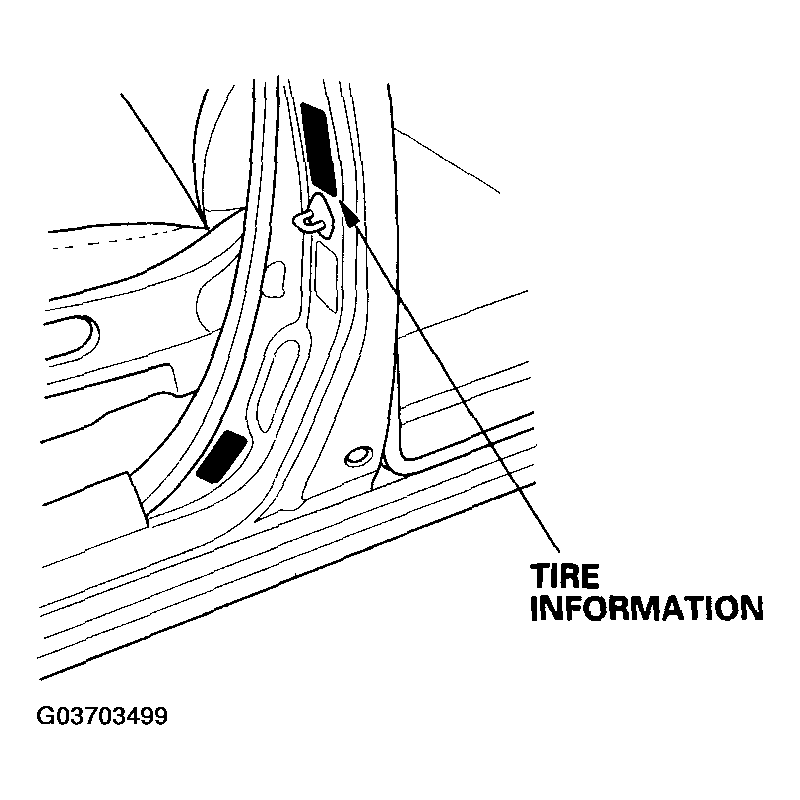 G03703499