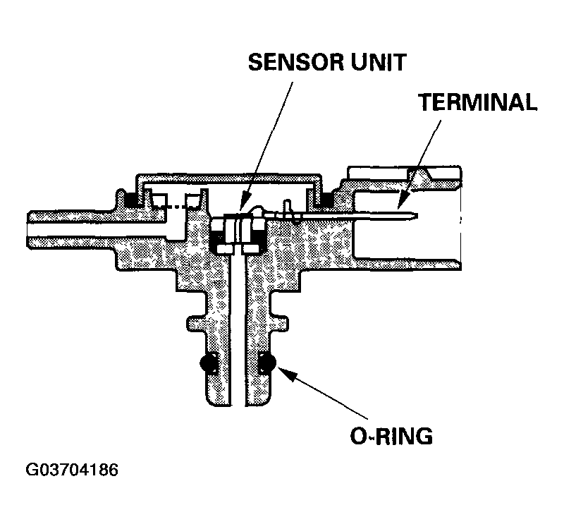G03704186