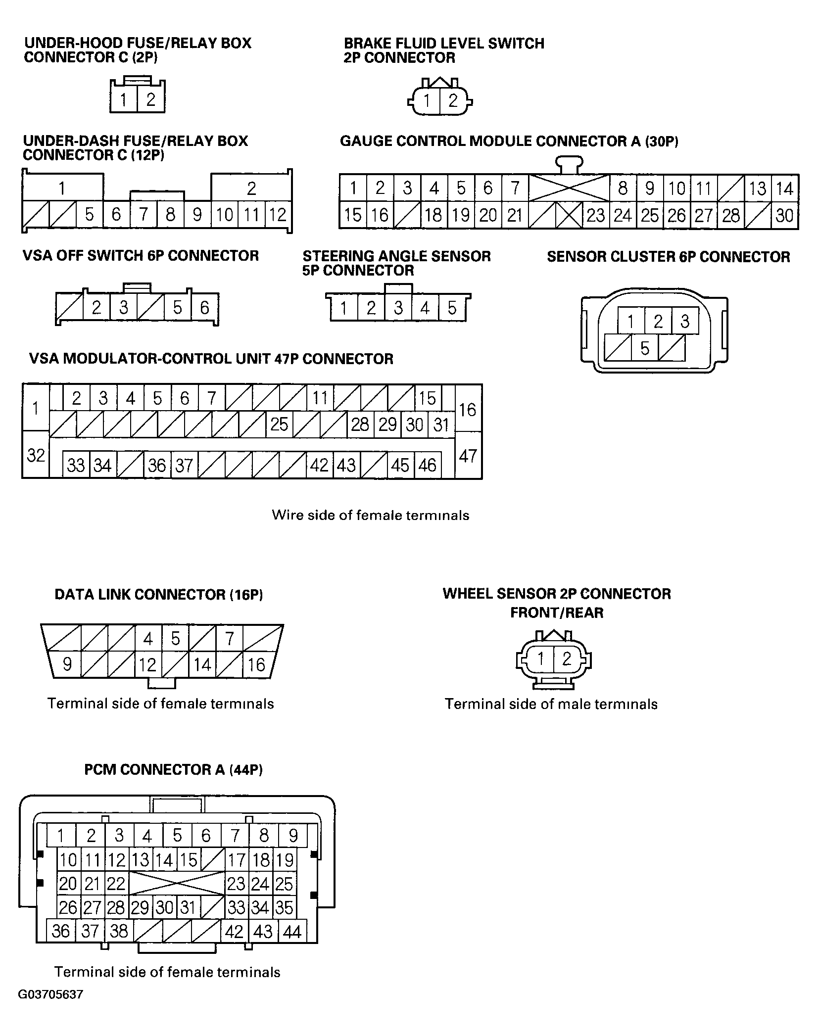 G03705637