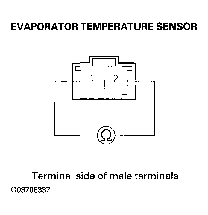 G03706337