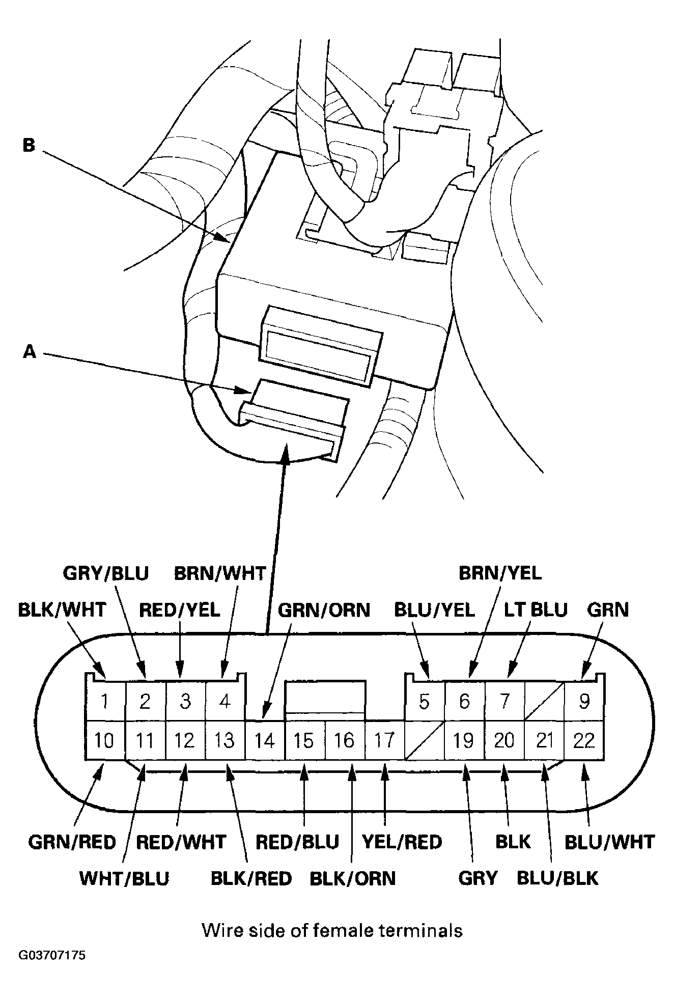 G03707175
