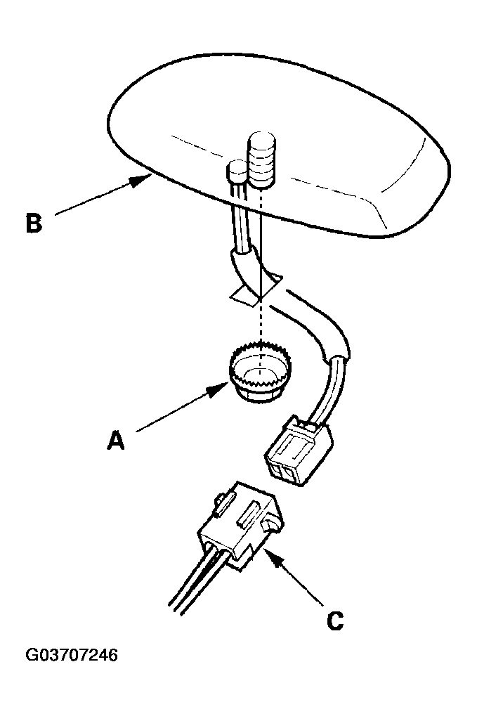 G03707246