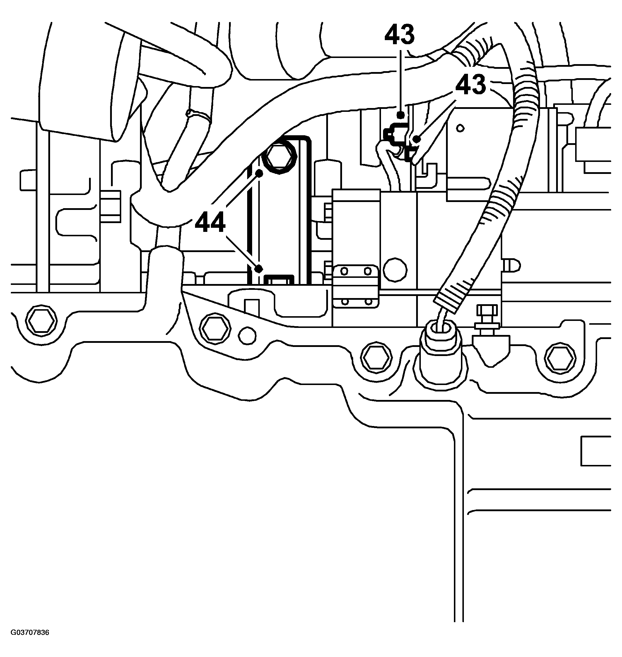 G03707836