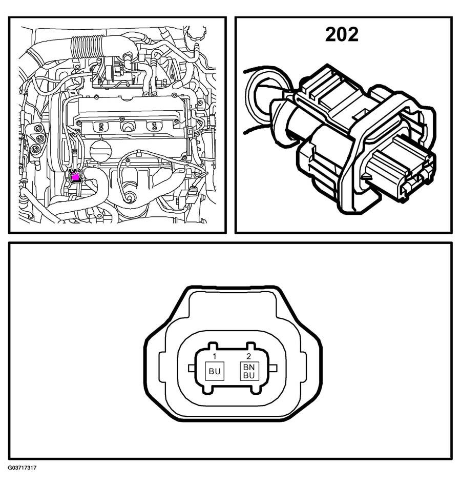 G03717317