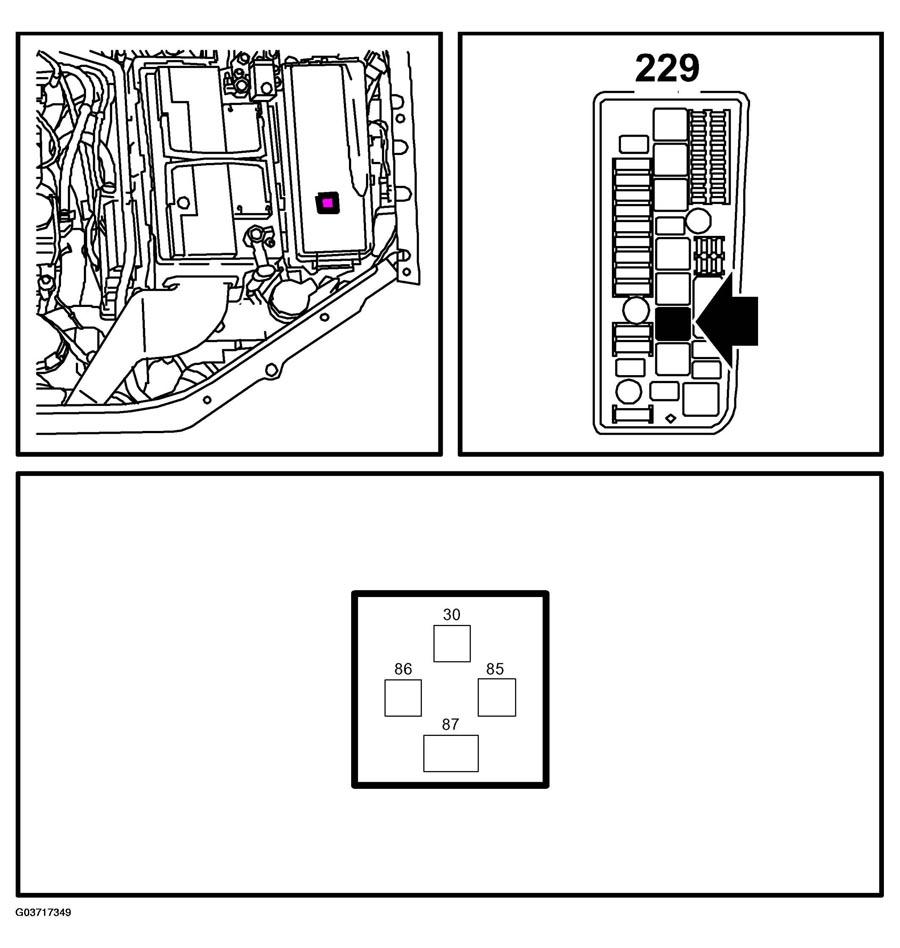 G03717349