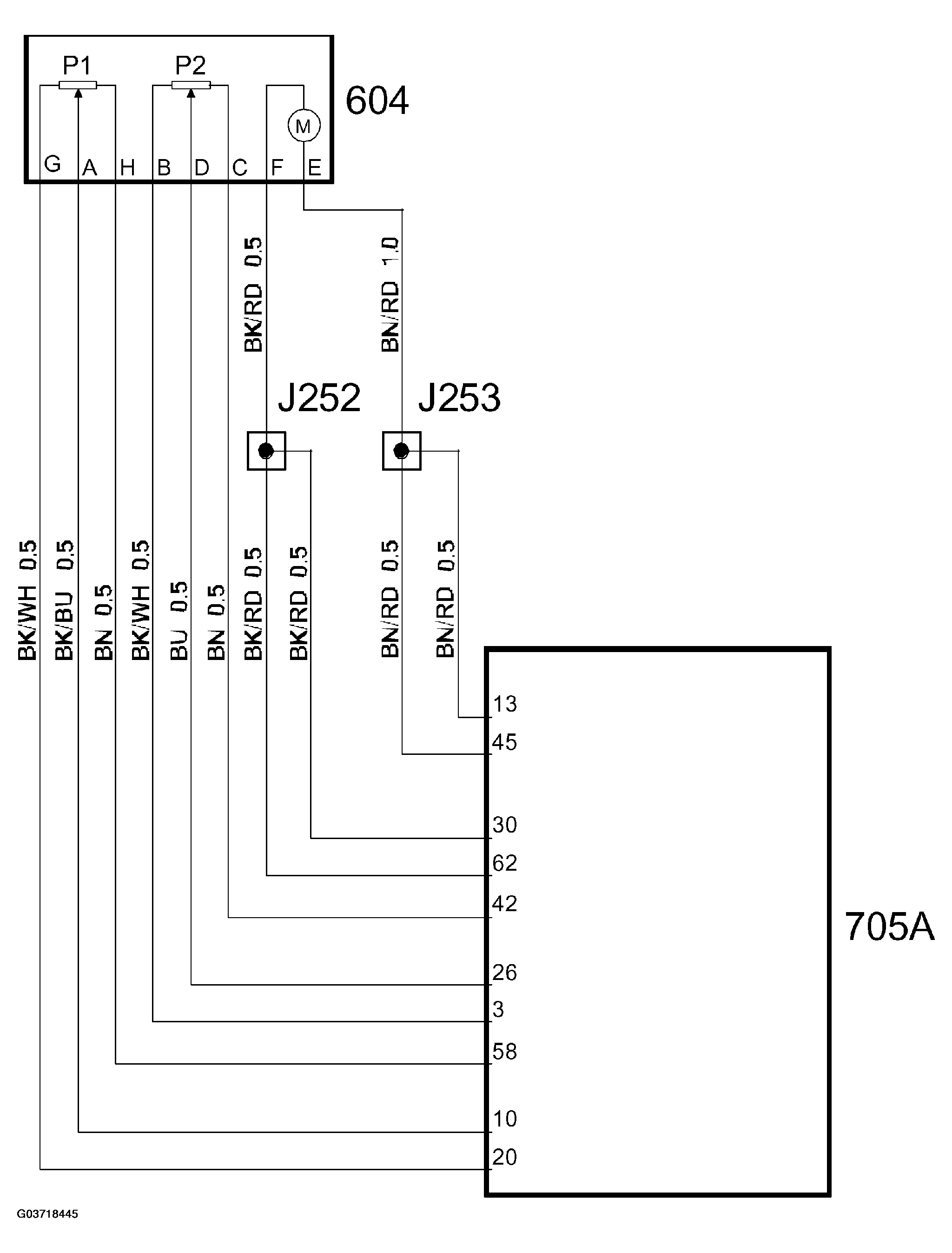 G03718445