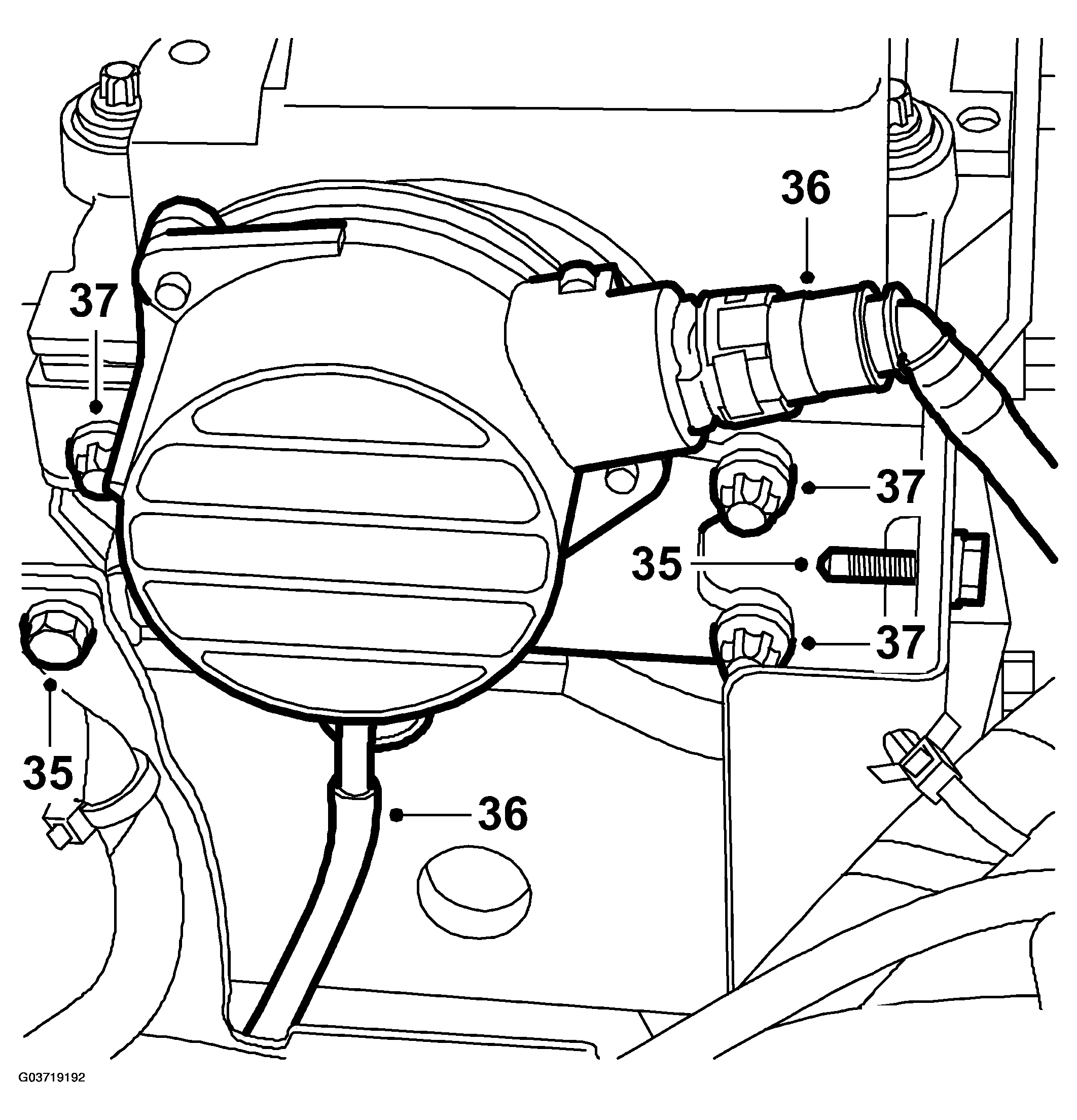 G03719192