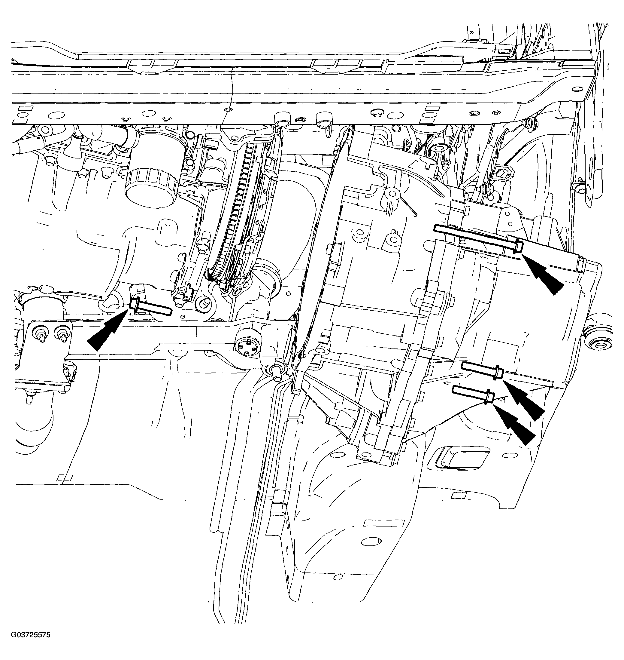 G03725575