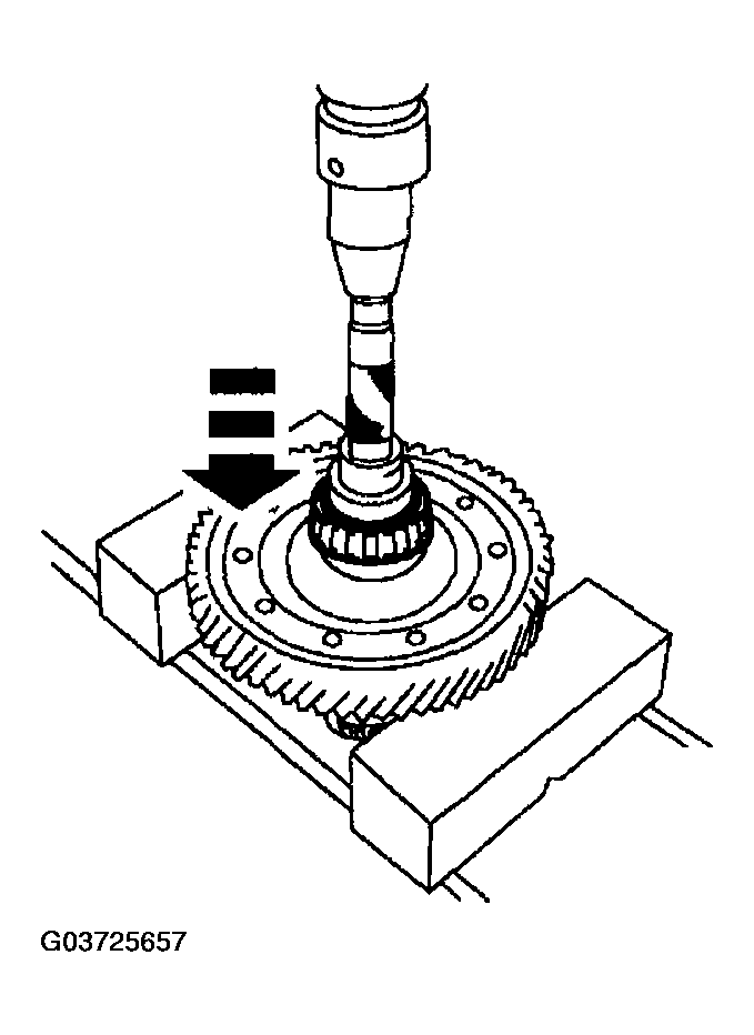G03725657