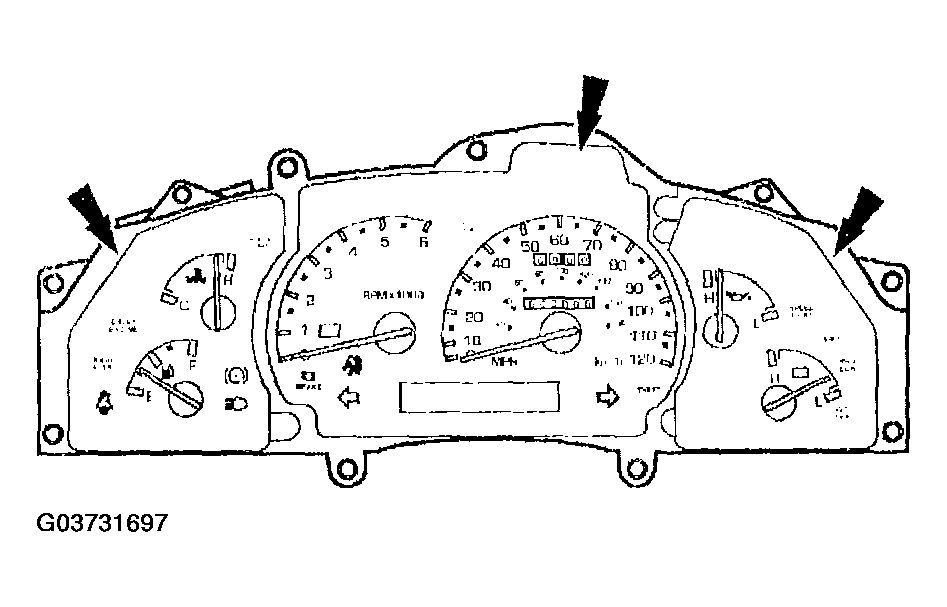 G03731697