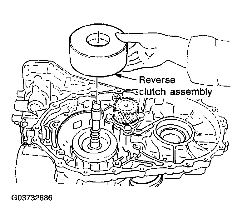 G03732686