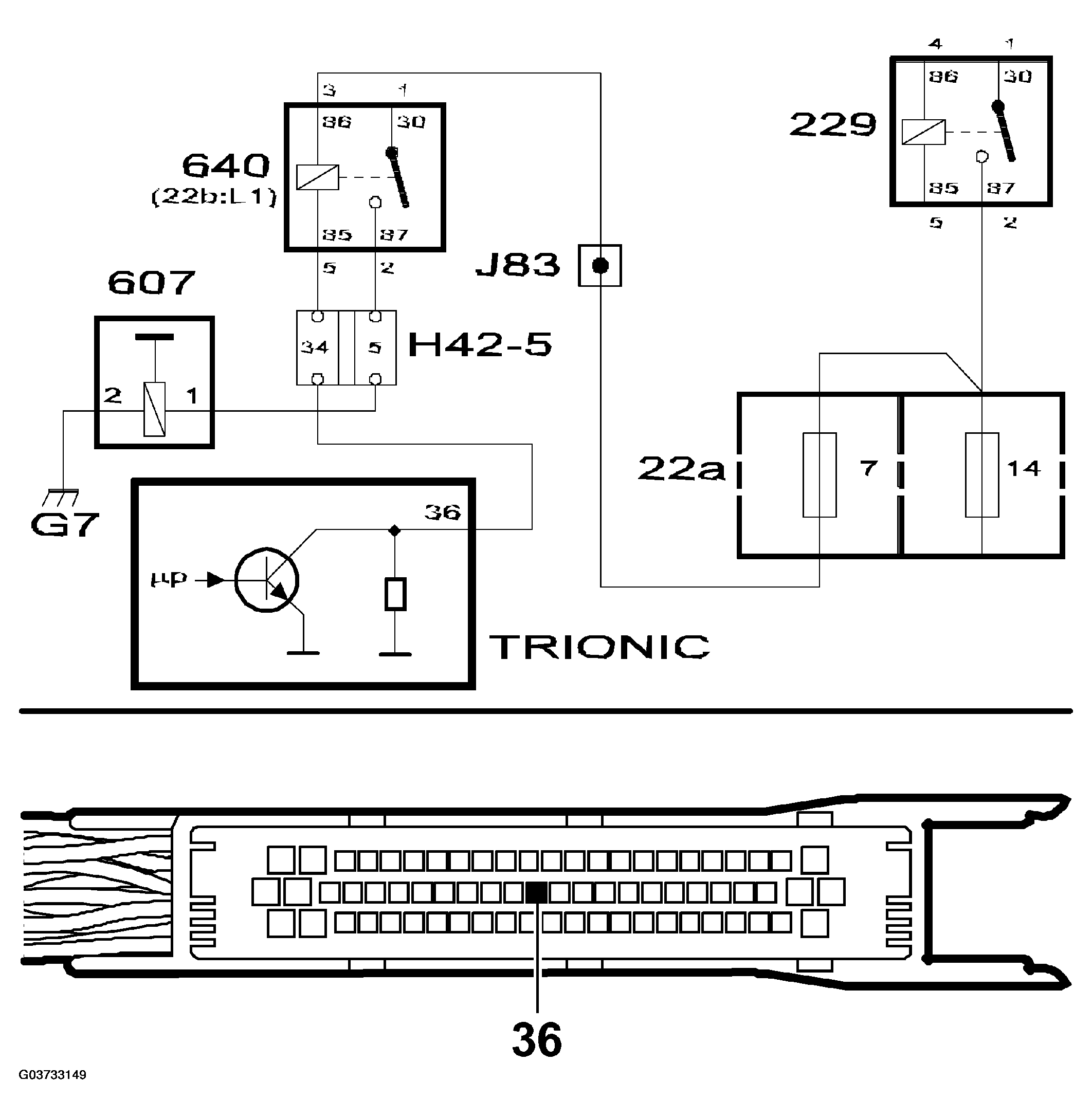 G03733149