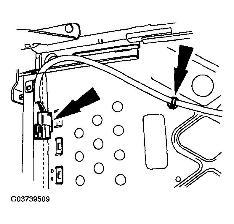 G03739509