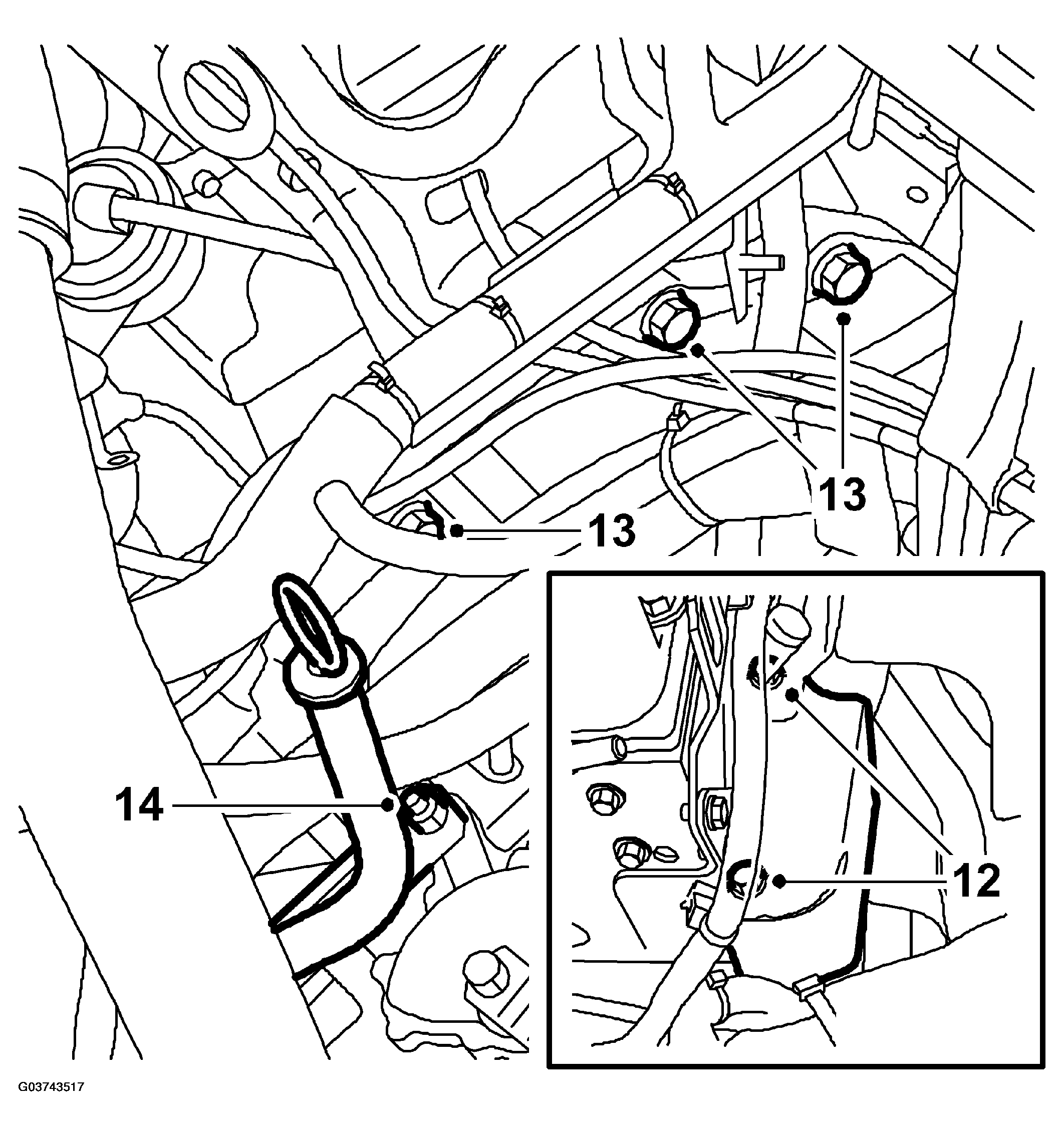 G03743517