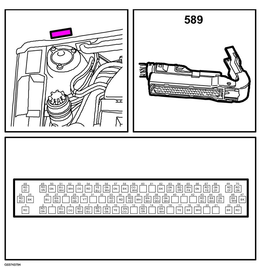 G03743794