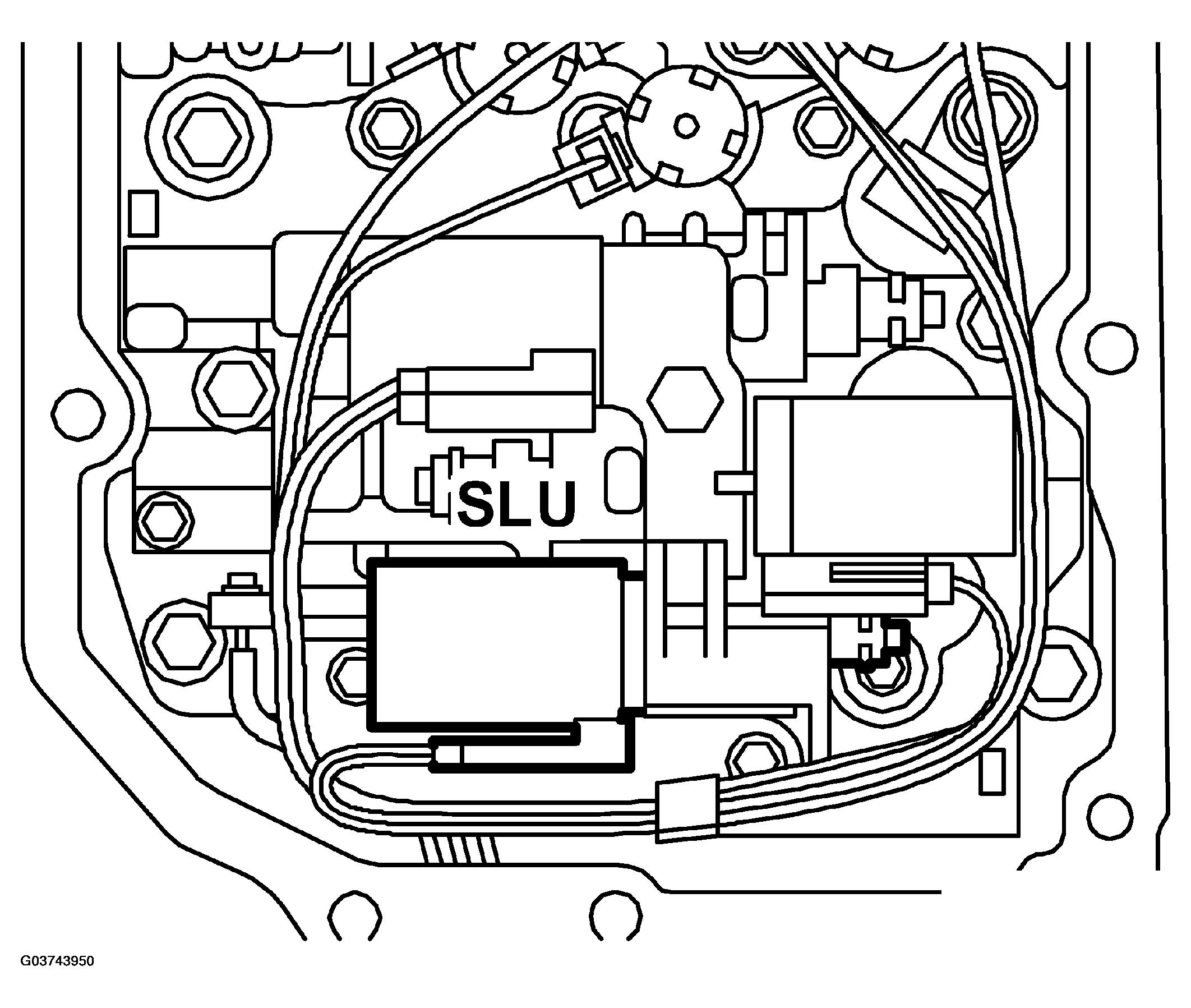 G03743950