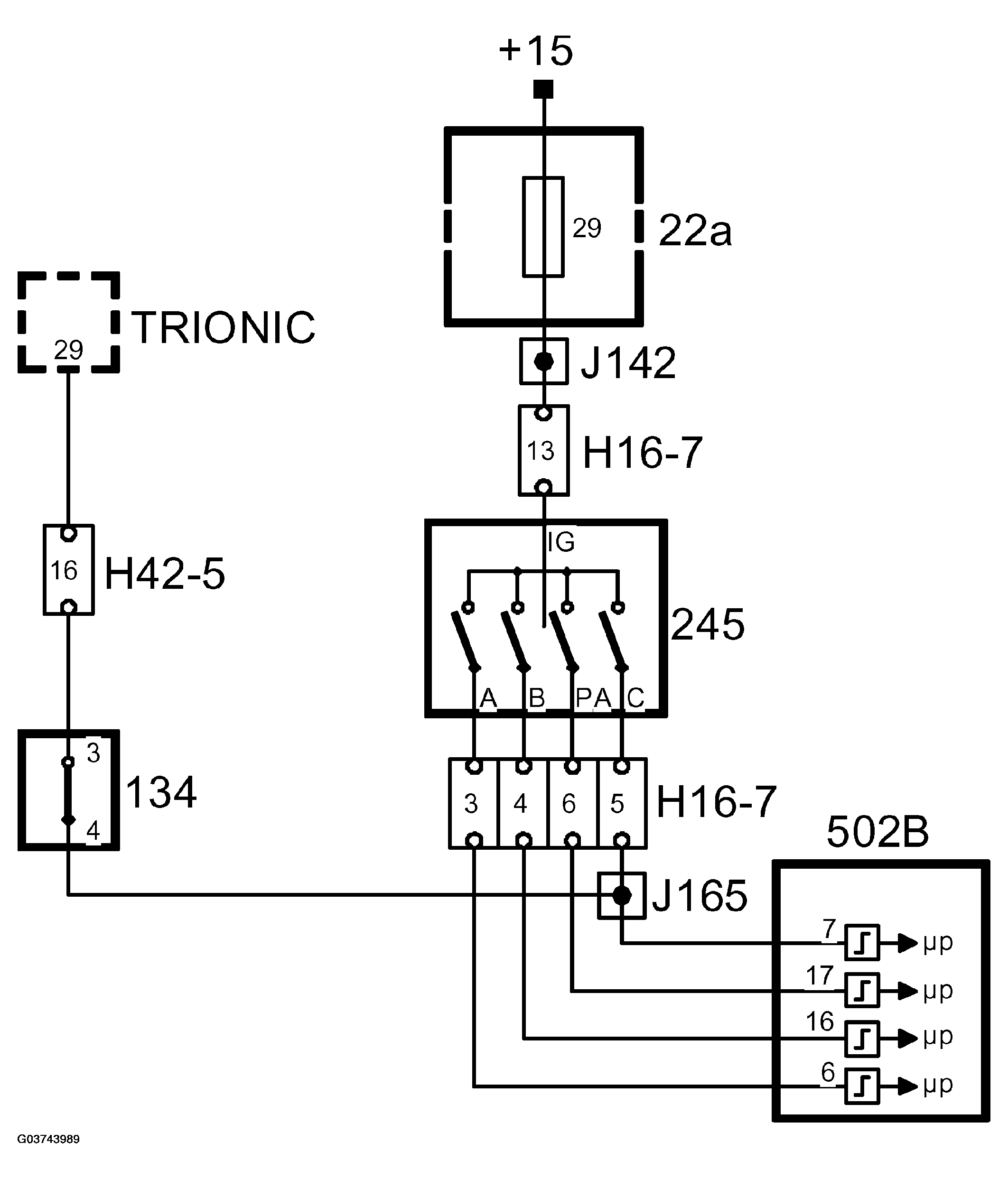G03743989