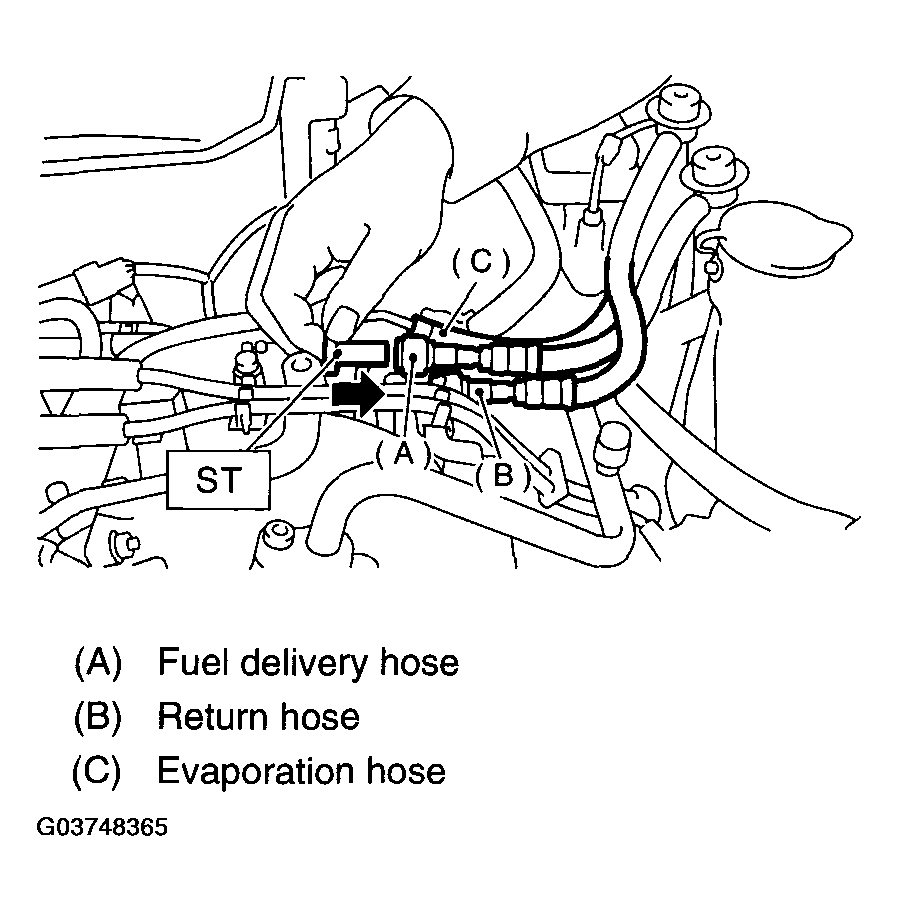 G03748365