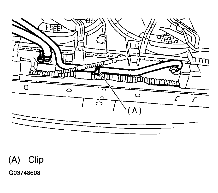 G03748608