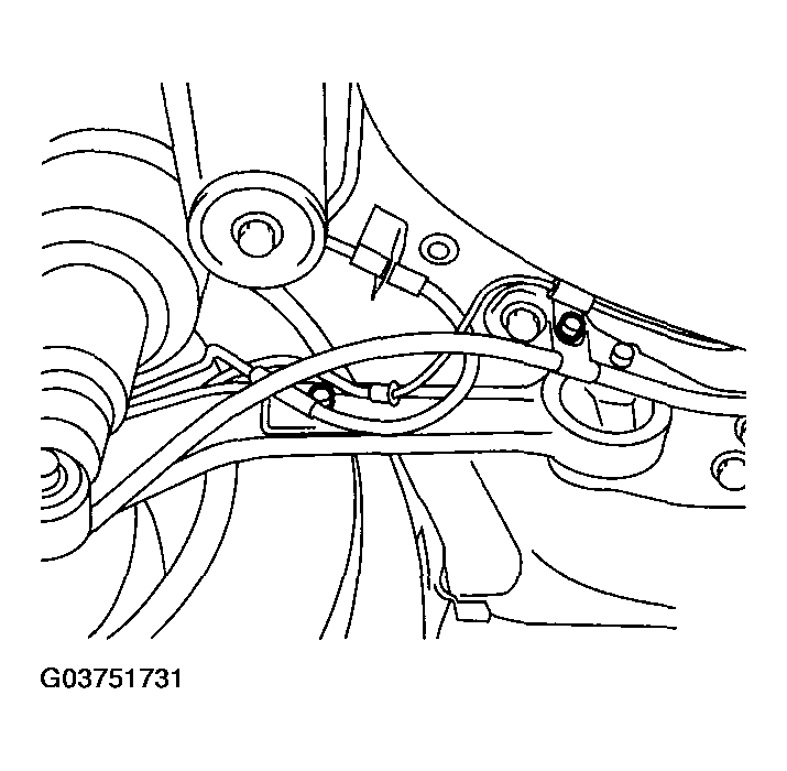 G03751731