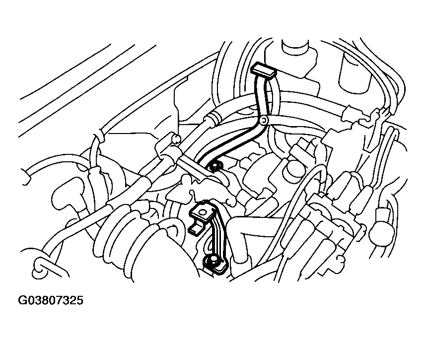 G03807325
