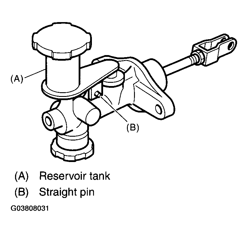 G03808031