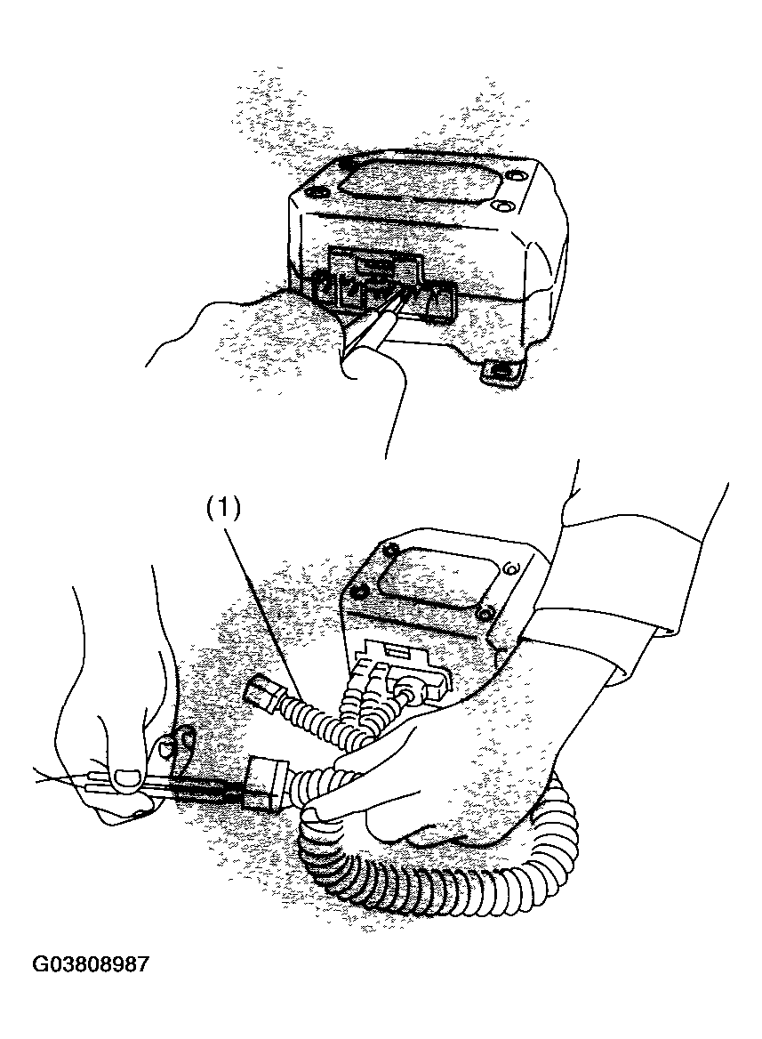 G03808987