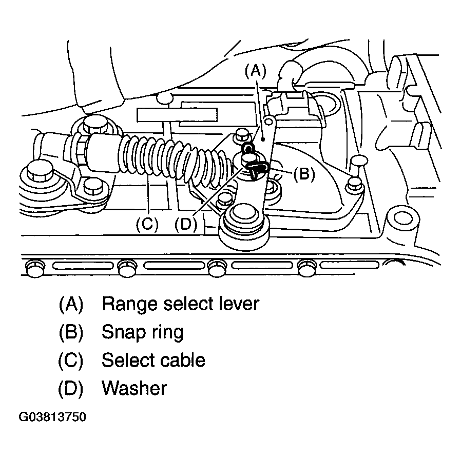 G03813750