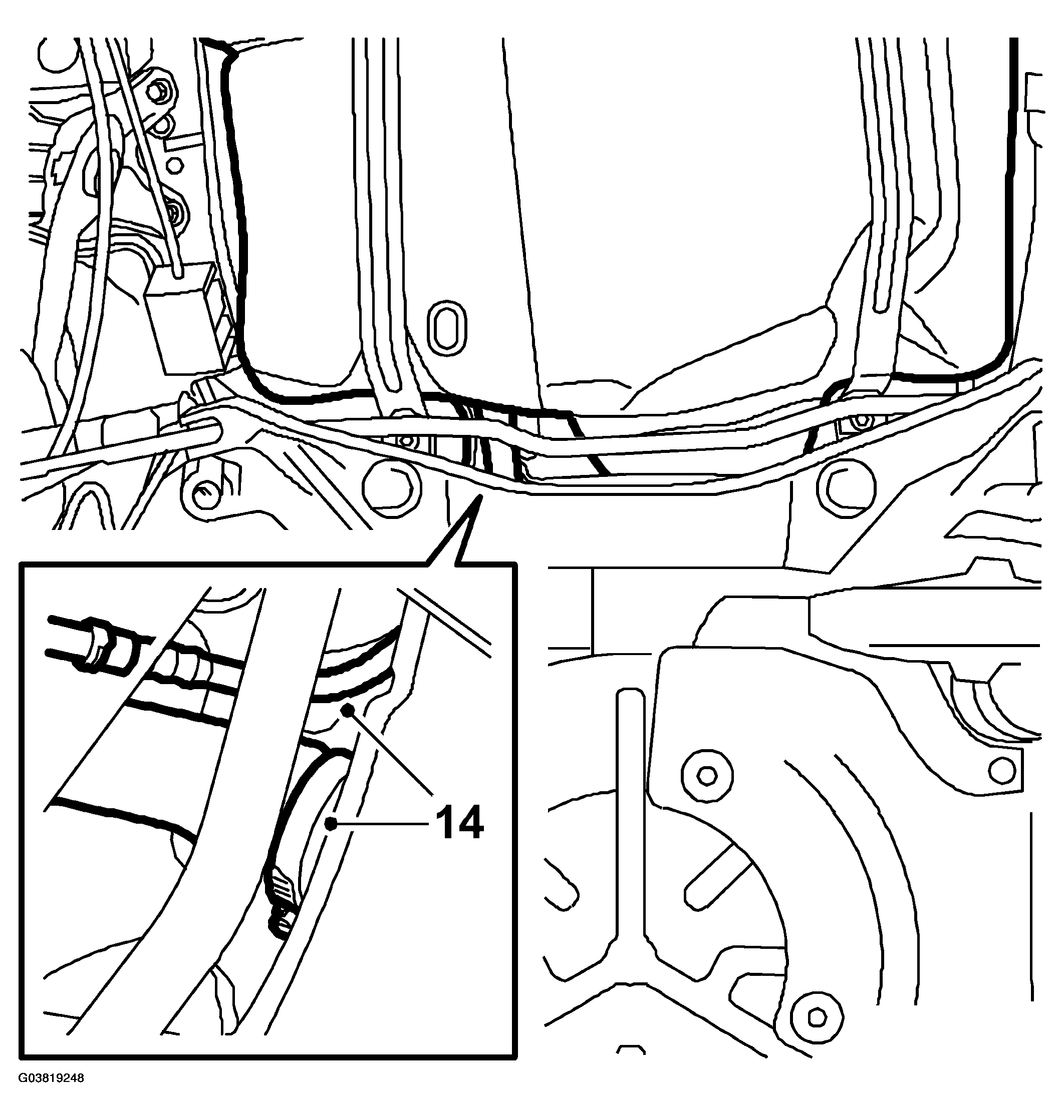 G03819248