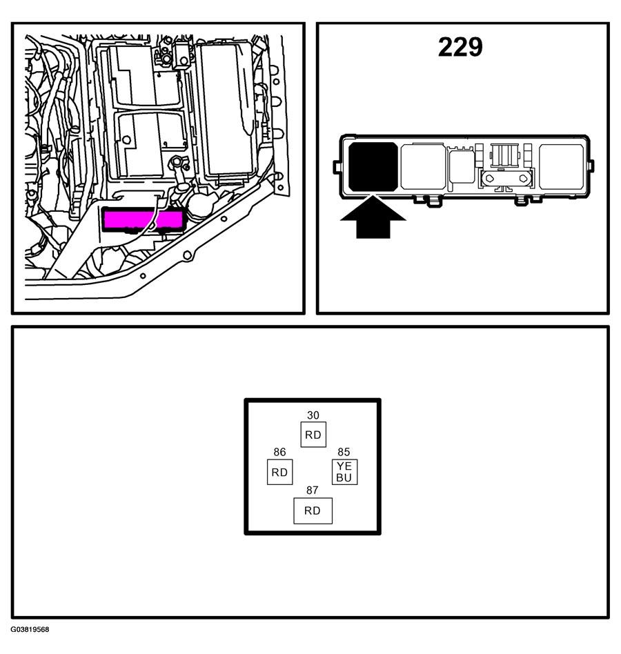 G03819568
