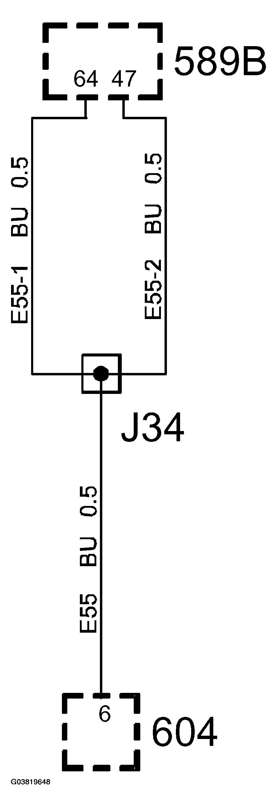 G03819648