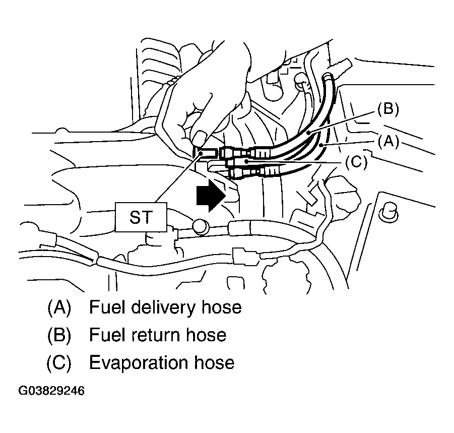 G03829246