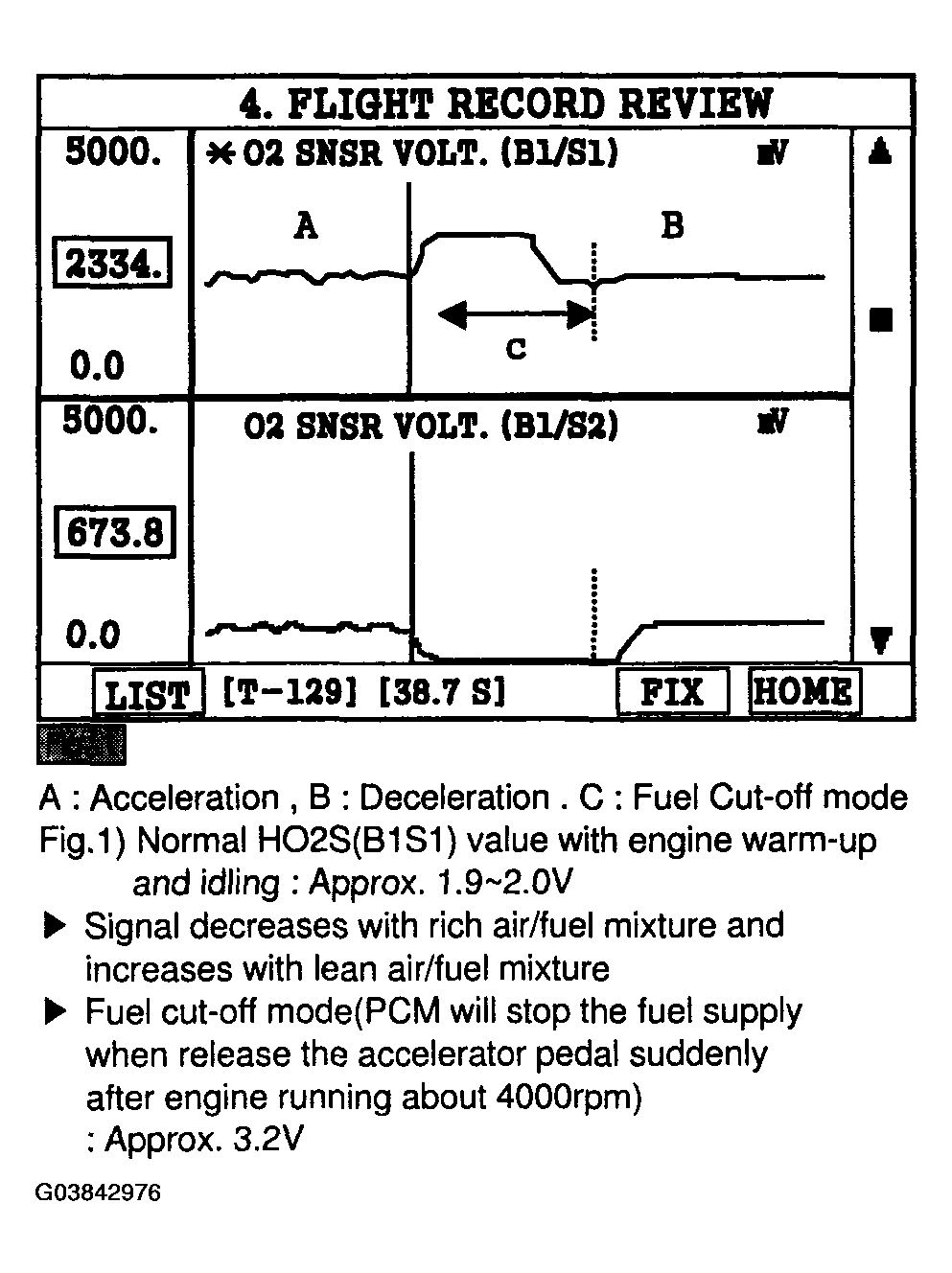 G03842976