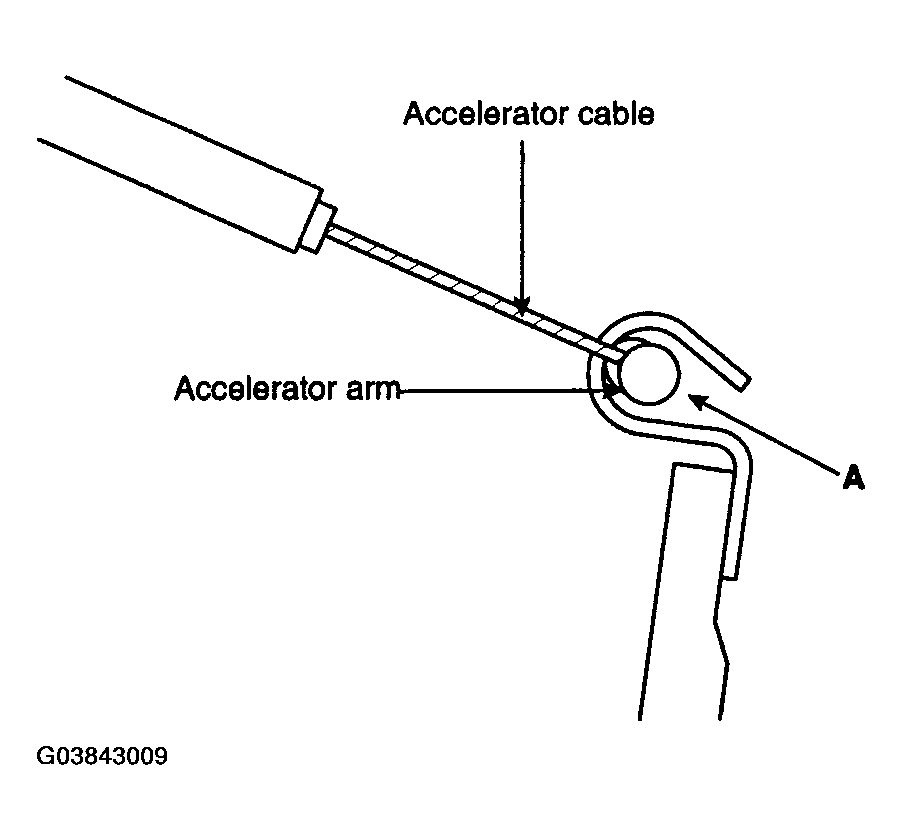 G03843009